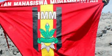 iimm-dalam-perspektif-lain