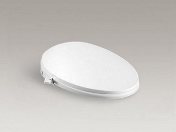 manual bidet seat